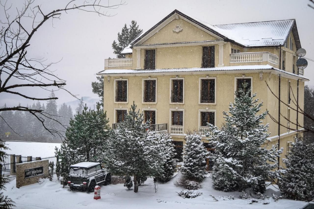 Hotel Art Montana Predeal Εξωτερικό φωτογραφία